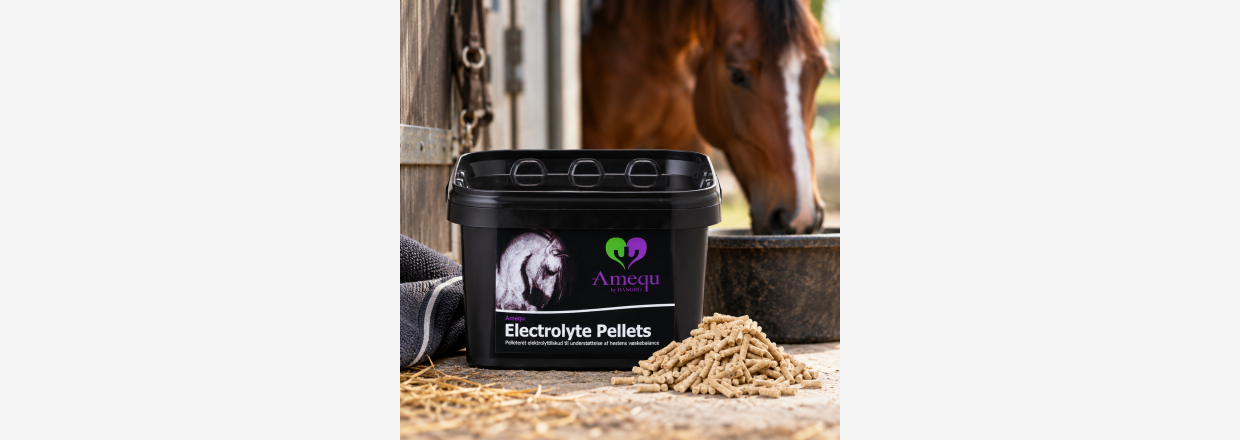 Amequ Electrolyte Pellets &ndash; elektrolytter til hest