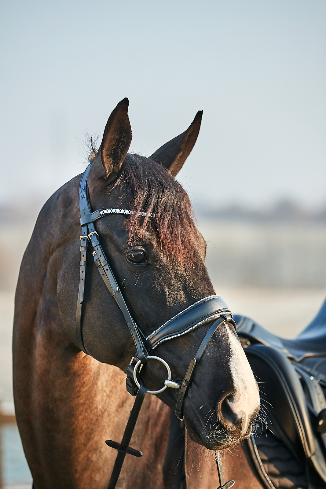 TRENSER OG TILBEHØR