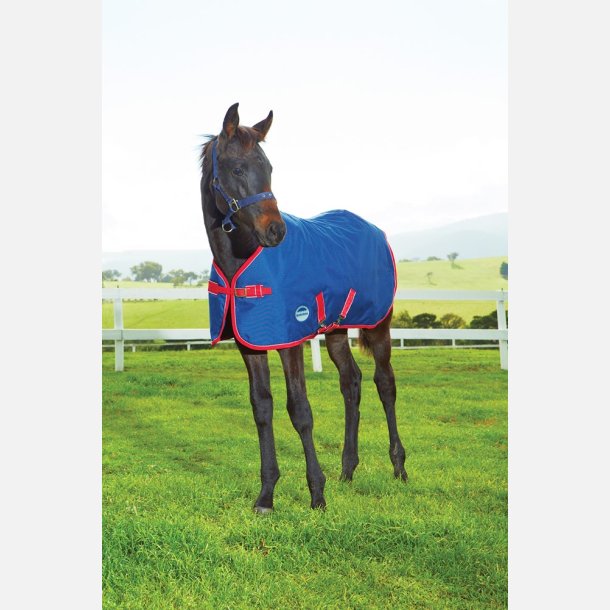 Weatherbeeta 1200D Foal Standard Neck Medium II Navy/Red/White - 220 g