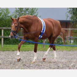 QHP Longe i taske - Kobolt - 8 m