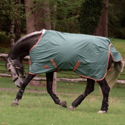 Weatherbeeta Comfitec Tyro Standard neck - Green/Burnt - Lite Plus - 50 gr