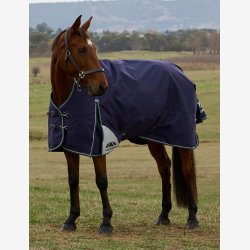 Weatherbeeta Comfitec Plus Dynamic Turnout High Neck - Navy/Forest Green - 100 gr