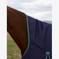 Weatherbeeta Comfitec Plus Dynamic Turnout High Neck - Navy/Forest Green - 100 gr