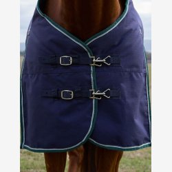 Weatherbeeta Comfitec Plus Dynamic Turnout - Navy/Forest Green - 100 gr