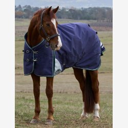 Weatherbeeta Comfitec Plus Dynamic Turnout - Navy/Forest Green - 100 gr