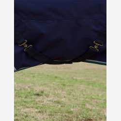 Weatherbeeta Comfitec Plus Dynamic Turnout - Navy/Forest Green - 100 gr