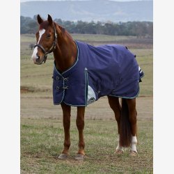 Weatherbeeta Comfitec Plus Dynamic Turnout - Navy/Forest Green - 100 gr