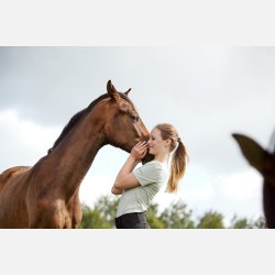 EQ Mara T-shirt - Sage Green