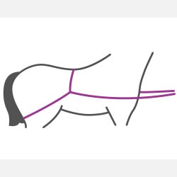 QHP Trailer lsse line - Sort