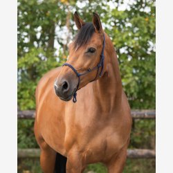 QHP Snoregrime - Navy