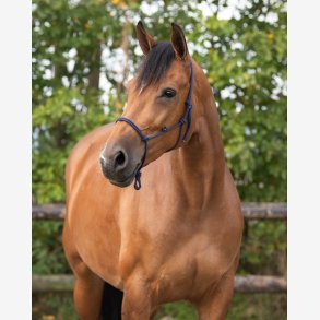 QHP Snoregrime - Navy