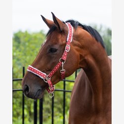 QHP Julegrime - Rudolph