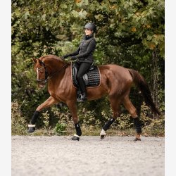 Waldhausen Palermo sadelunderlag - Sort