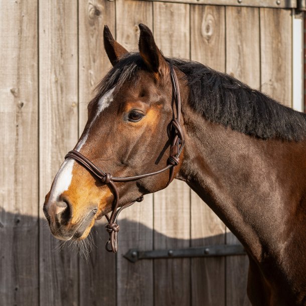 QHP Lder snoregrime - Liberta - Brun