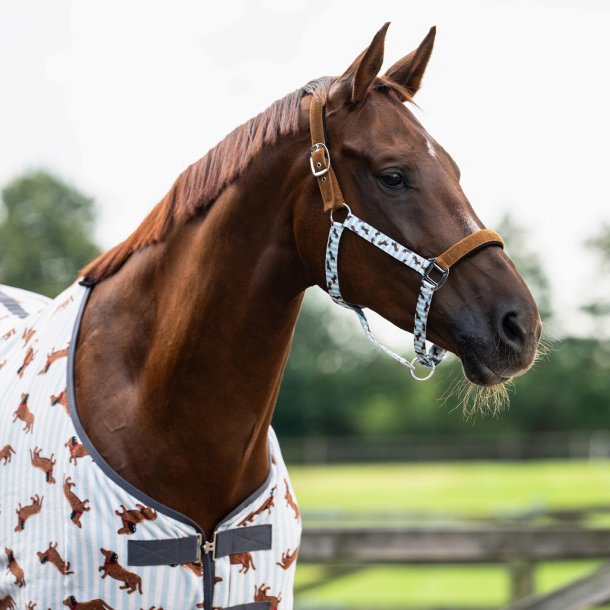 QHP Grime med tr�ktov - Gravhund