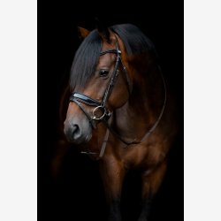 HG Cryll 24.1 trense komb.NB m/tilbagetrk - Brun