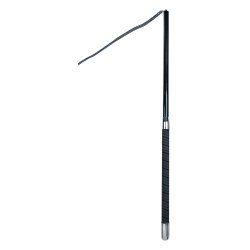 Waldhausen Teleskop longe pisk - 200 cm