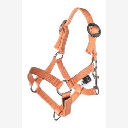 HKM K�phest grime og tr�ktov - Orange