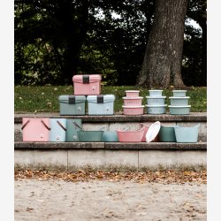 Waldhausen ECO Striglekasse - Mistletoe