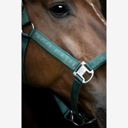 Catago Alea reflekterende grime - Ponderosa Pine