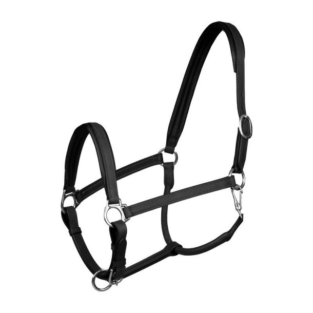 Horka lder grime - Stockholm