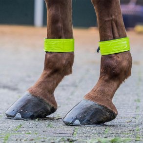 Horka Refleks til ben