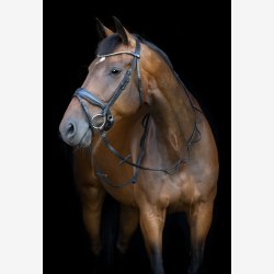 HG Loop t�jler - 16mm