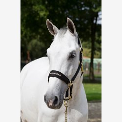 Back on Track Grime - Werano - Sort