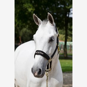 Back on Track Grime - Werano - Sort