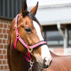 Back on Track Grime - Werano - Cherry