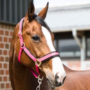 Back on Track Grime - Werano - Cherry