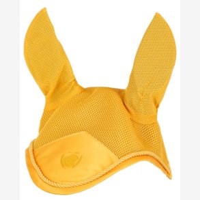 Covalliero Hut - Sun