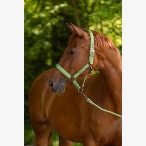 Covalliero Grime - Gr�n