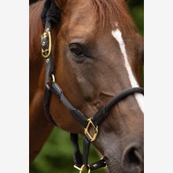 Covalliero Anniversary Grime