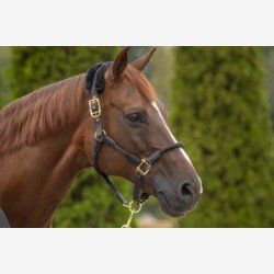 Covalliero Anniversary Grime