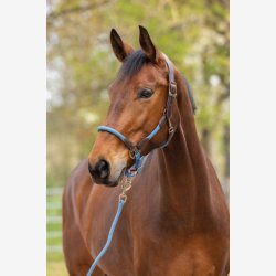 Covalliero Grime - Cordano DeLuxe