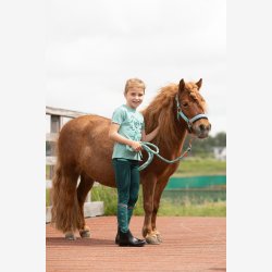 Harry's Horse T-shirt - Brn