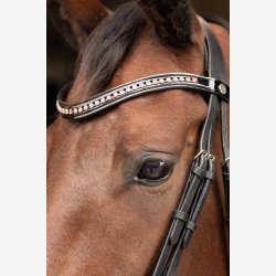 Harry's Horse trense med tjler - Allegro