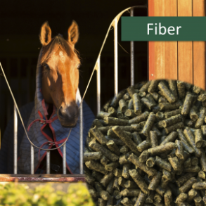 HorsePro Fiber - 20 kg