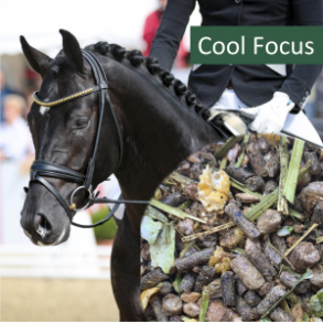 HorsePro Cool Focus - 20 kg