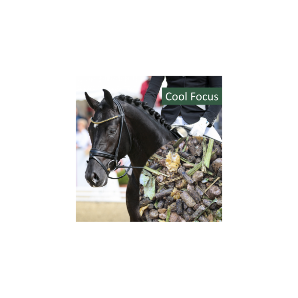 HorsePro Cool Focus - 20 kg