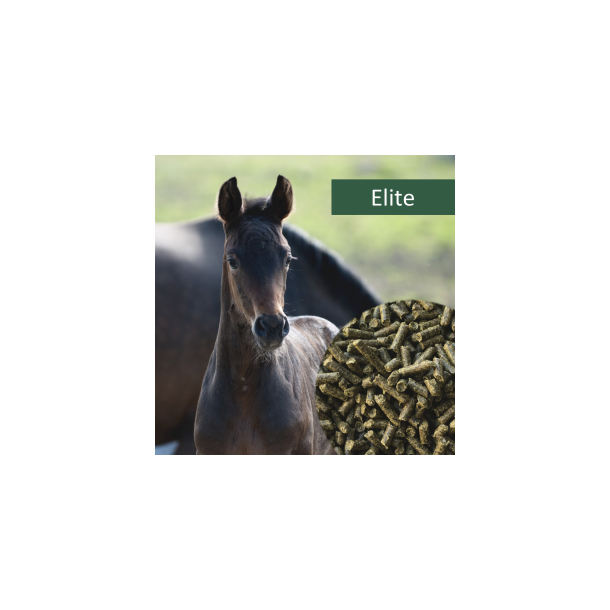 HorsePro Elite - 20 kg