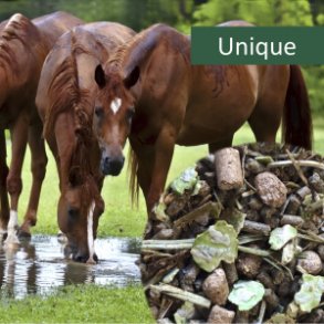 HorsePro Unique - 20 kg