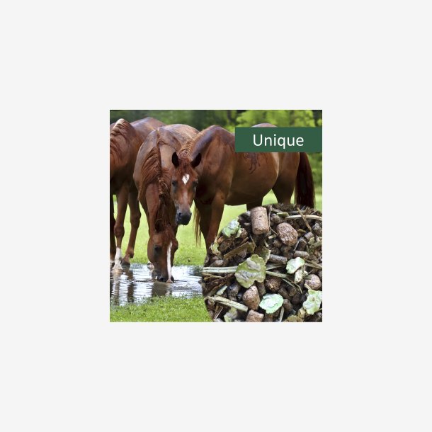 HorsePro Unique - 20 kg