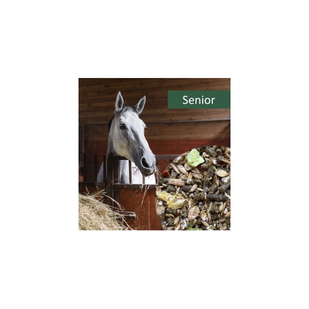 HorsePro Senior - 20 kg