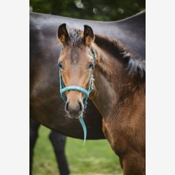 HG Malva f�lgrime - Arctic