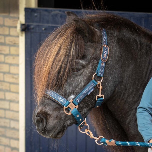 Harry's Horse Grime og tr�ktov - Petrol/Pink