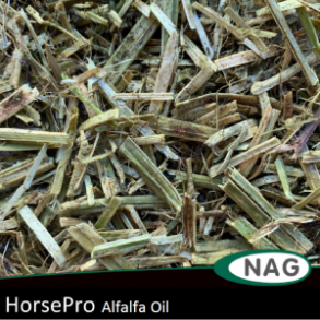 HorsePro Alfalfa Oil - 15 kg
