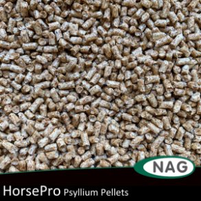 HorsePro Psyllium Pellets - 3kg