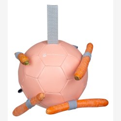 Waldhausen Hesteleget�j - Gulerods bold - Linnea Pink